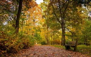 Park Kościuszki zachwyca jesienią (1)