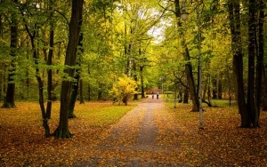 Park Kościuszki zachwyca jesienią (3)