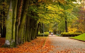 Park Kościuszki zachwyca jesienią (8)