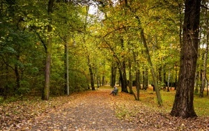 Park Kościuszki zachwyca jesienią (2)