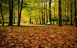 Park Kościuszki zachwyca jesienią (12)