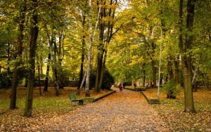 Park Kościuszki zachwyca jesienią (3)