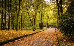 Park Kościuszki zachwyca jesienią (5)