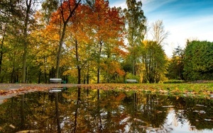 Park Kościuszki zachwyca jesienią (9)