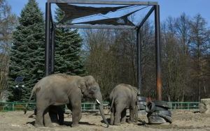 W Śląskim Ogrodzie Zoologicznym (3)