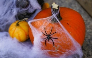 Halloweenowy bebok przed biblioteką SUM w Katowicach (2)