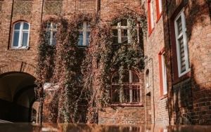 Nikiszowiec jesienią (12)