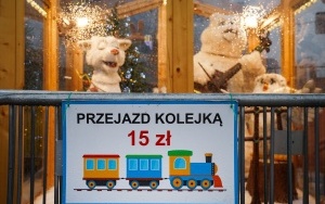Jarmark Bożonarodzeniowy w Katowicach już otwarty! (10)