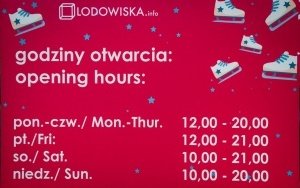Jarmark Bożonarodzeniowy w Katowicach już otwarty! (12)