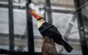 Nowe Egzotarium w Sosnowcu czeka na odwiedzających (13)