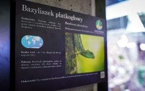 Nowe Egzotarium w Sosnowcu czeka na odwiedzających (18)