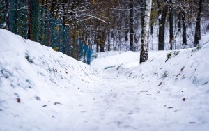 Katowicki tor saneczkowy w Parku Kościuszki (6)