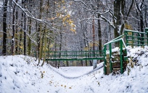 Zima na całego w Katowicach. Zobacz jak wygląda zaśnieżony Park Kościuszki (19)