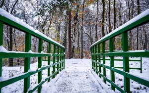Zima na całego w Katowicach. Zobacz jak wygląda zaśnieżony Park Kościuszki (18)