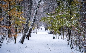 Zima na całego w Katowicach. Zobacz jak wygląda zaśnieżony Park Kościuszki (20)