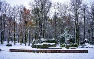 Zima na całego w Katowicach. Zobacz jak wygląda zaśnieżony Park Kościuszki (13)