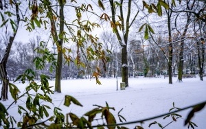 Zima na całego w Katowicach. Zobacz jak wygląda zaśnieżony Park Kościuszki (12)
