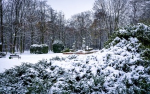 Zima na całego w Katowicach. Zobacz jak wygląda zaśnieżony Park Kościuszki (11)