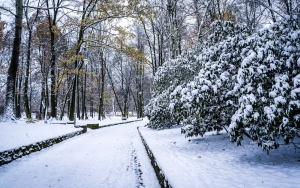 Zima na całego w Katowicach. Zobacz jak wygląda zaśnieżony Park Kościuszki (10)
