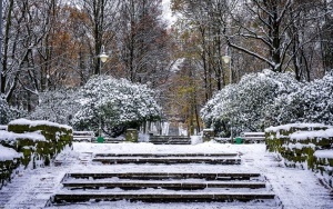 Zima na całego w Katowicach. Zobacz jak wygląda zaśnieżony Park Kościuszki (8)