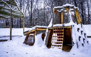 Zima na całego w Katowicach. Zobacz jak wygląda zaśnieżony Park Kościuszki (4)