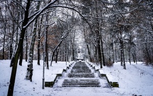 Zima na całego w Katowicach. Zobacz jak wygląda zaśnieżony Park Kościuszki (1)