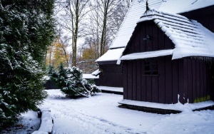 Zima na całego w Katowicach. Zobacz jak wygląda zaśnieżony Park Kościuszki (5)