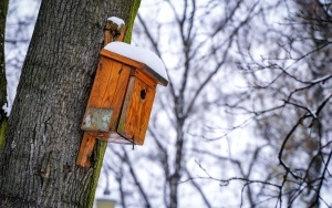 Zima na całego w Katowicach. Zobacz jak wygląda zaśnieżony Park Kościuszki (2)