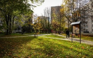 Miejskie służby dbają o tereny zielone w Katowicach (4)