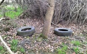 Dzikie wysypisko śmieci w Ligocie - ul. Hadyny (8)