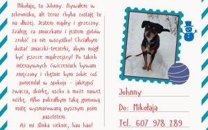 Johnny chce dostać: - treserki; - naturalne gryzaki; - matę do lizania; - paszteciki w tubce