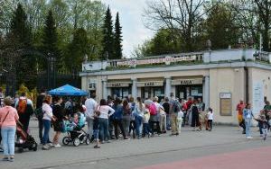 Kolejka do Śląskiego Ogrodu Zoologicznego (2)