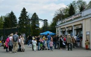 Kolejka do Śląskiego Ogrodu Zoologicznego (3)