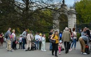 Kolejka do Śląskiego Ogrodu Zoologicznego (5)