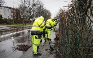 Wiosenne sprzątanie na ulicach Katowic (2)