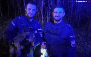 Policjanci uratowali wystraszonego psa (2)