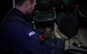 Policjanci uratowali wystraszonego psa (1)