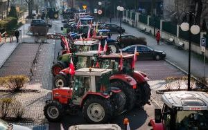 Protest rolników w Katowicach (4)