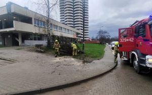 Strażacy OSP Katowice-Szopienice usuwają skutki wichury (3)