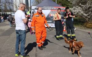 Piknik z Bebokiem Rajdusiem w Katowicach - marzec 2024 (6)