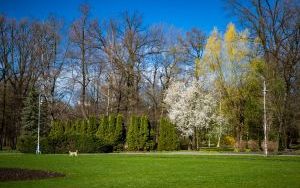 Pierwsze oznaki wiosny w Parku Kościuszki (2024) (20)