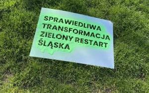 Zielone graffiti przed Urzędem Wojewódzkim (2)
