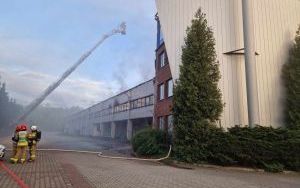 Pożar hali z hulajnogami w Katowicach (2)