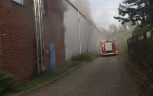 Pożar hali z hulajnogami w Katowicach (2)