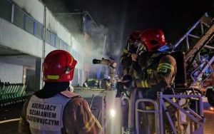 Pożar hali z hulajnogami w Katowicach (4)
