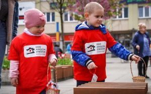 Skrzydlate ławki na katowickim Rynku (9)