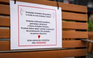 Skrzydlate ławki na katowickim Rynku (4)