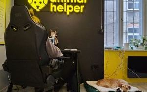 Animal Helper - biuro (4)