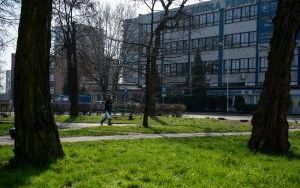 Nowe zielone skwery w Katowicach powstaną w Śródmieściu i przy ul. Katowickiej (1)