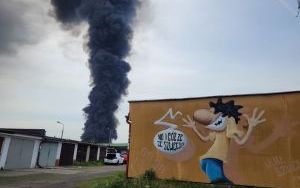 Pożar składowiska odpadów w Siemianowicach Śląskich - kłęby dymu nad miastami (3)